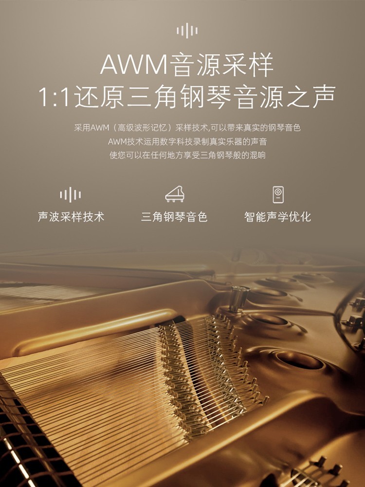 Grand Piano 88-Key Weighted Sm - مراجعة Smart Home Key وسعره
