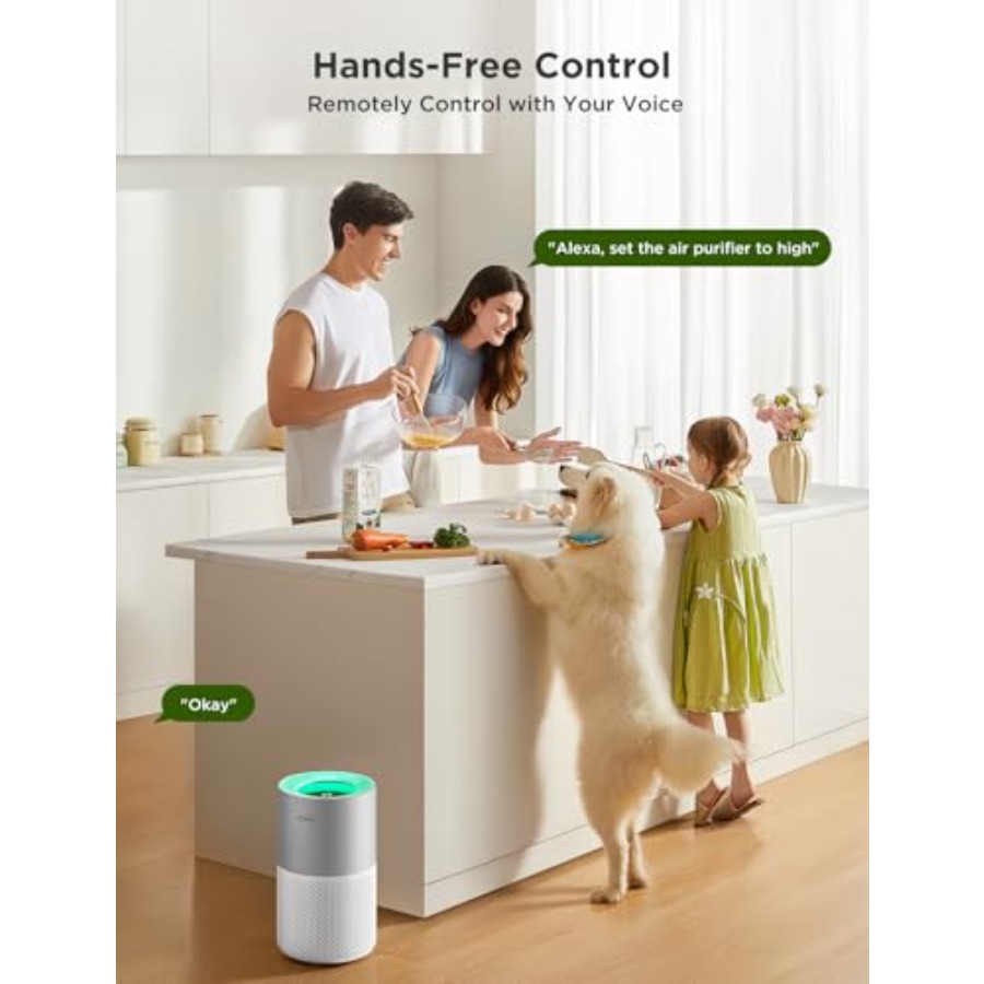 Air Purifiers for Home, Smart  - مراجعة Smart Air Purifier وسعره