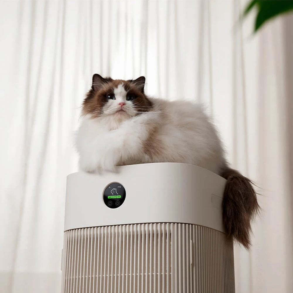 Cats Hair Fast Absorb Dogs Hai - مراجعة Smart Air Purifier وسعره