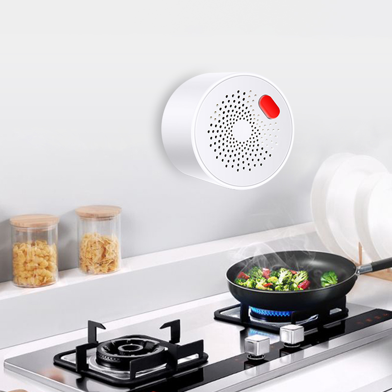 Tuya Smart Home Wifi Natural G - مراجعة Smart Home Network وسعره