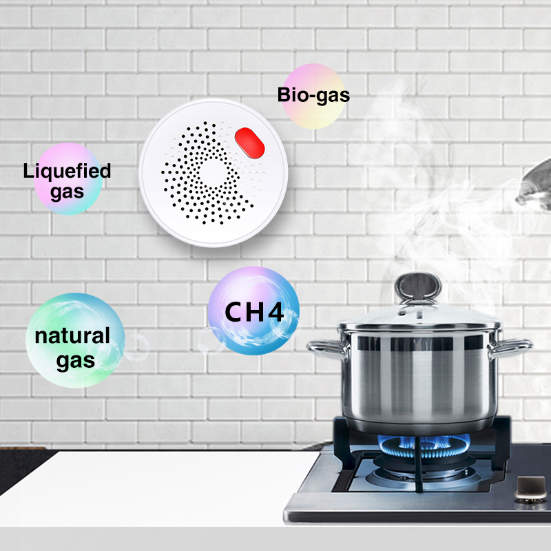 Tuya Smart Home Wifi Natural G - مراجعة Smart Home Network وسعره